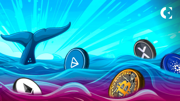 Crypto Whales Are Selling, But Prices Are Rising – What's Going On?
